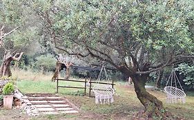 Casal das Nogueiras, casas rurais de charme agradáveis e acolhedoras